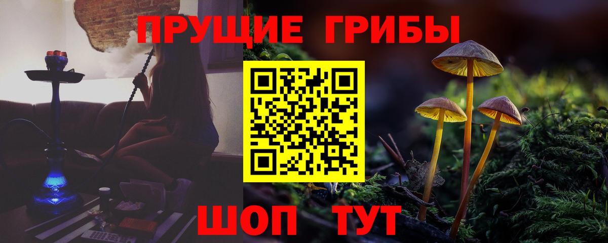 Лянтор  Псилоцибиновые грибы GOLDEN TEACHER  Вход с VPN 